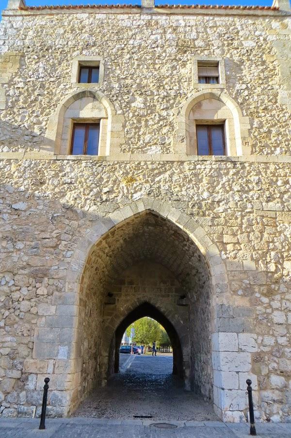 Imagen 12 Circus Park El Dorado foto