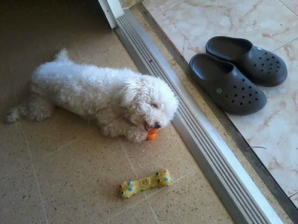 Imagen 1 Camas la Cruz foto