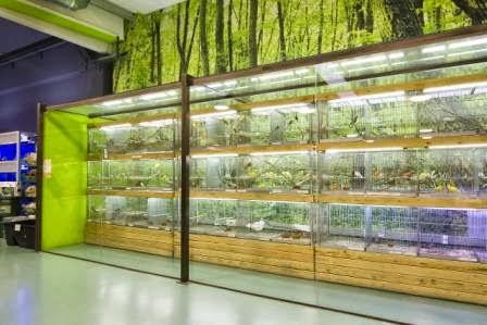 Imagen 119 NATUR CENTER foto