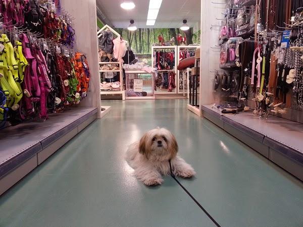 Imagen 168 NATUR CENTER foto