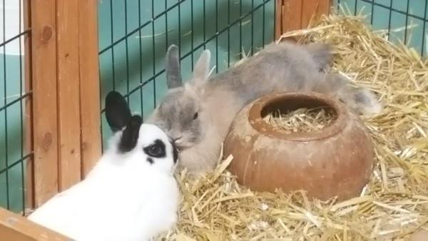 Imagen 169 NATUR CENTER foto