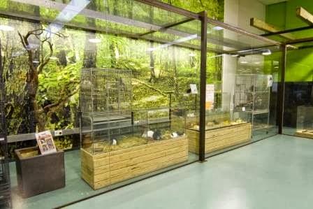 Imagen 85 NATUR CENTER foto