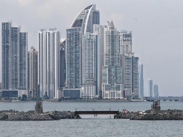 Imagen 11 Clínica Veterinaria El Escorial foto