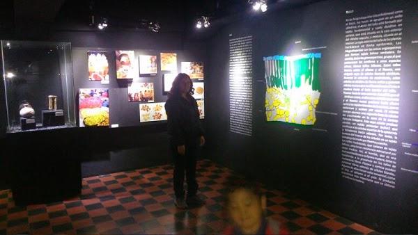 Imagen 14 Atlantic Traders foto