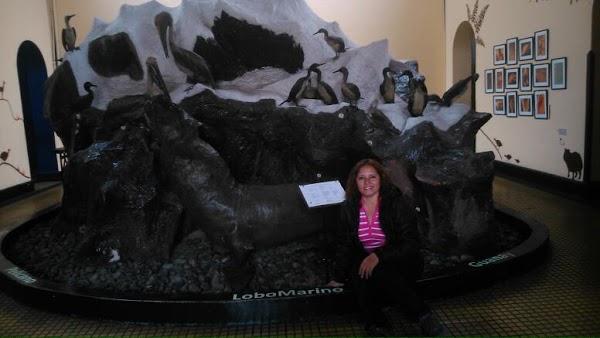 Imagen 16 Atlantic Traders foto