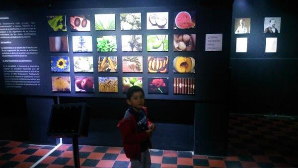 Imagen 19 Atlantic Traders foto