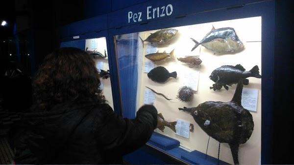 Imagen 21 Atlantic Traders foto