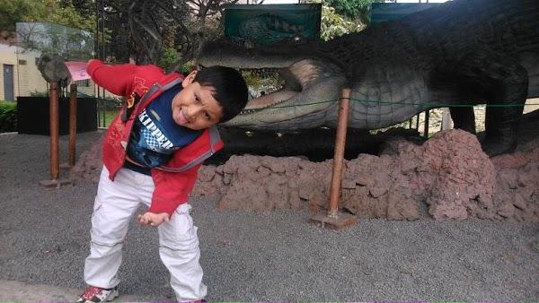 Imagen 25 Atlantic Traders foto