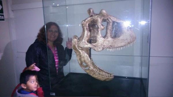 Imagen 28 Atlantic Traders foto