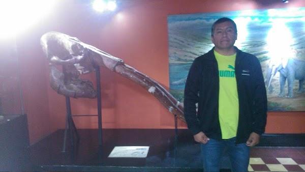 Imagen 7 Atlantic Traders foto