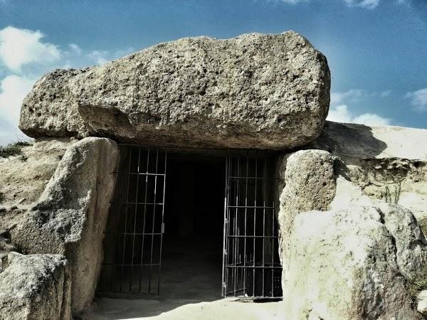 Imagen 12 Viveros Guzmán foto