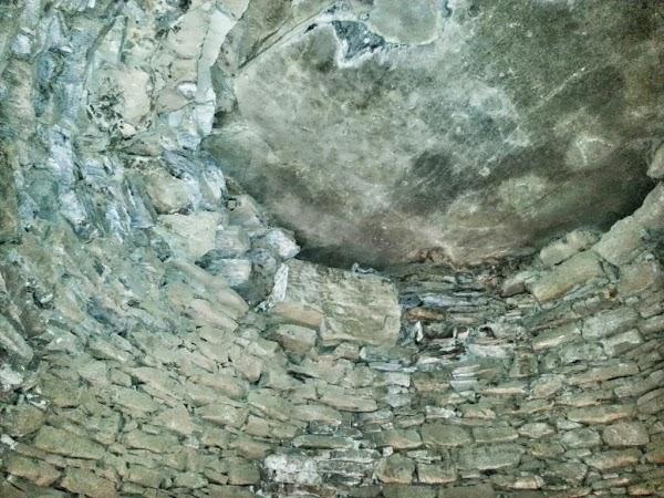 Imagen 17 Viveros Guzmán foto