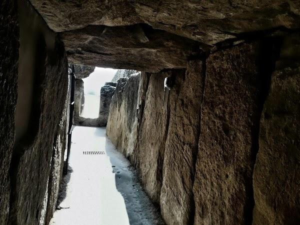 Imagen 18 Viveros Guzmán foto