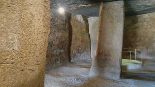 Imagen 28 Viveros Guzmán foto