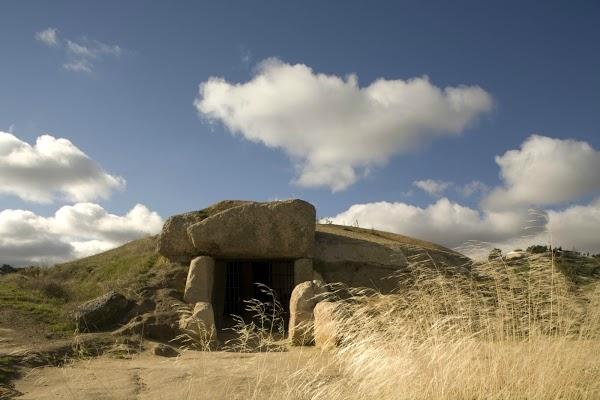 Imagen 32 Viveros Guzmán foto