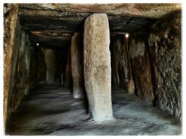 Imagen 44 Viveros Guzmán foto