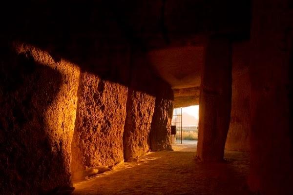 Imagen 55 Viveros Guzmán foto