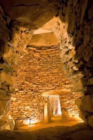 Imagen 60 Viveros Guzmán foto