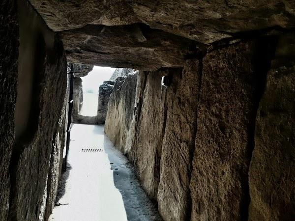 Imagen 79 Viveros Guzmán foto