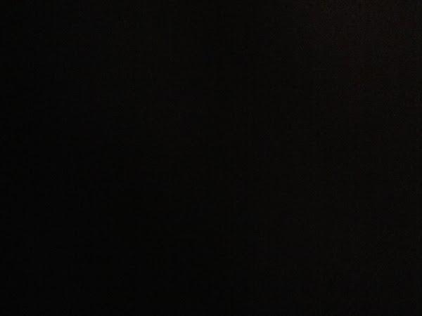 Imagen 26 Hotel Flora Parc foto