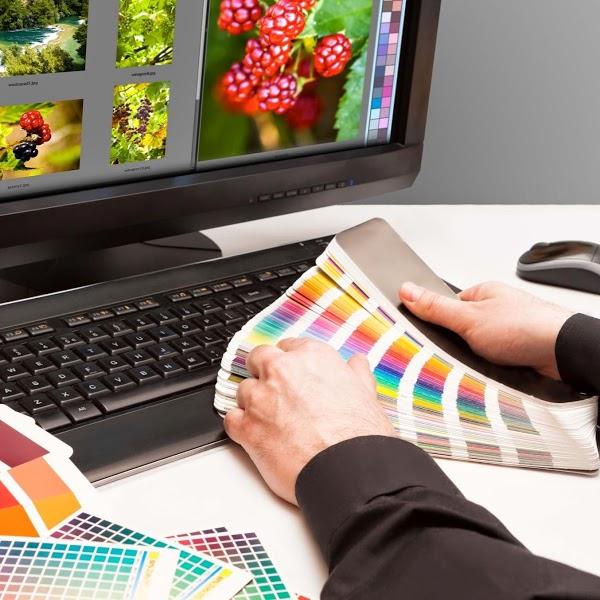 Imagen 26 Floreria Ferger foto