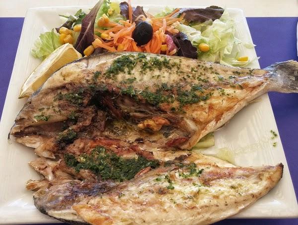 Imagen 23 Restaurante Quesada foto