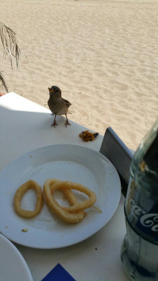 Imagen 26 Restaurante Quesada foto