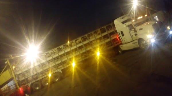 Imagen 31 Daily Acala foto