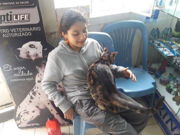 Imagen 62 UPS Xalapa foto