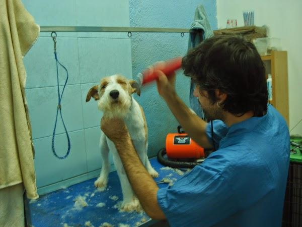 Imagen 9 Renoir Floridablanca foto