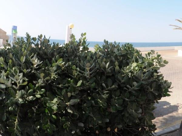 Imagen 6 Quantum Electric Co foto