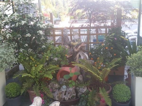 Imagen 25 Centro Heladero foto