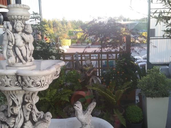 Imagen 26 Centro Heladero foto