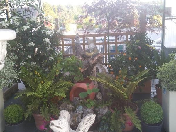 Imagen 34 Centro Heladero foto