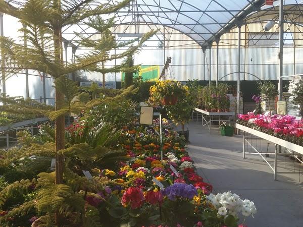 Imagen 35 Centro Heladero foto