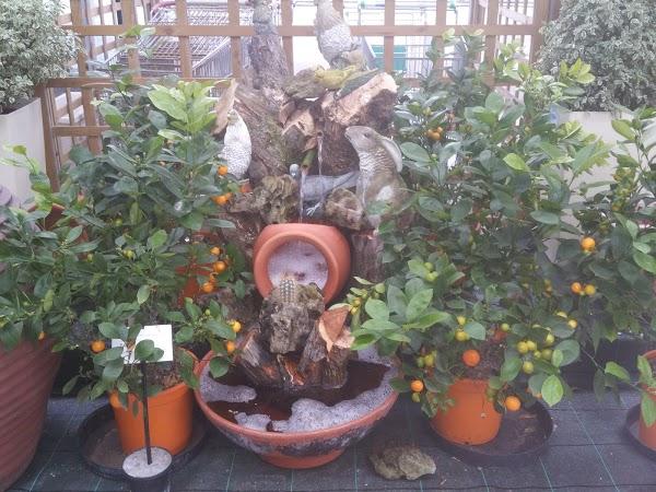 Imagen 38 Centro Heladero foto