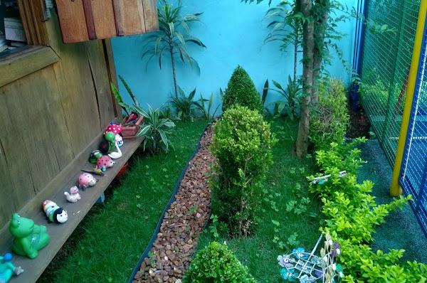 Imagen 7 Safari Online CC foto