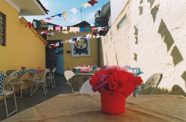 Imagen 10 Safari Online CC foto