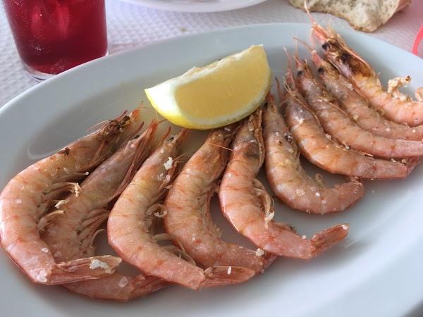 Imagen 42 Color Plus Cuarte de Huerva foto