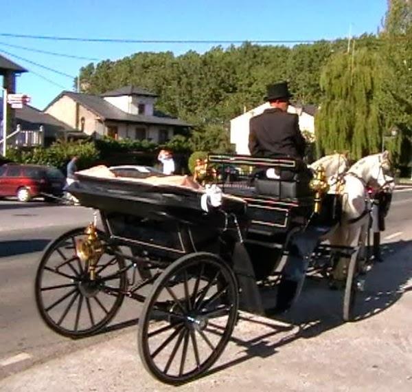Imagen 8 Academia Ciencias foto