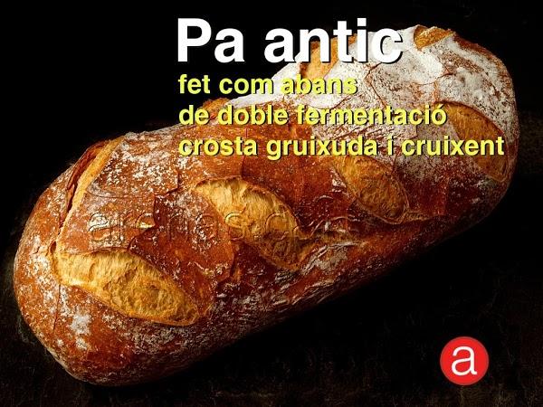 Imagen 27 Regecan Catalizadores foto