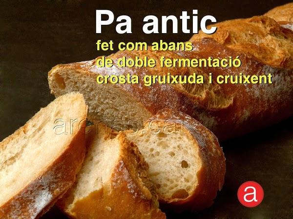 Imagen 40 Regecan Catalizadores foto