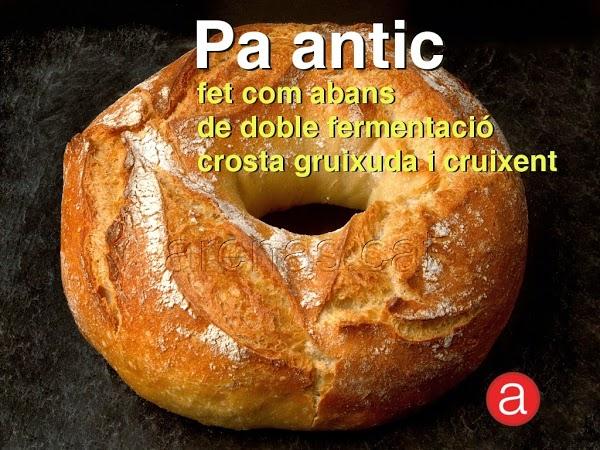 Imagen 53 Regecan Catalizadores foto