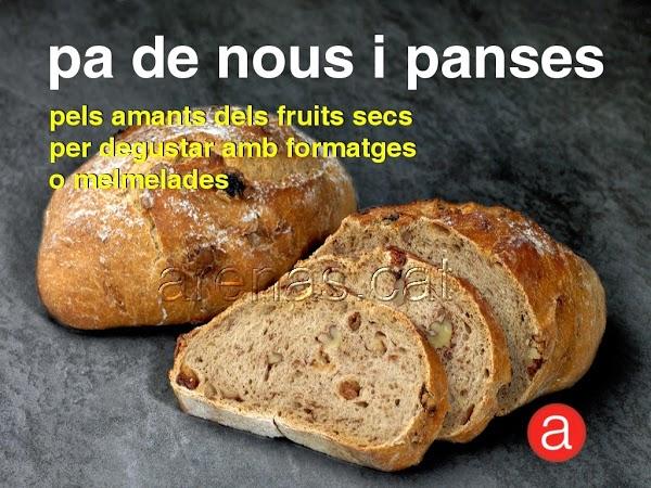 Imagen 57 Regecan Catalizadores foto