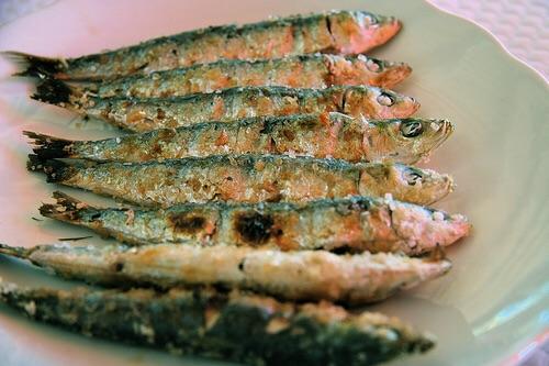 Imagen 27 Bodega Aurrera foto