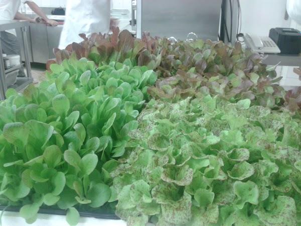 Imagen 40 Boulevard de La Cultura foto