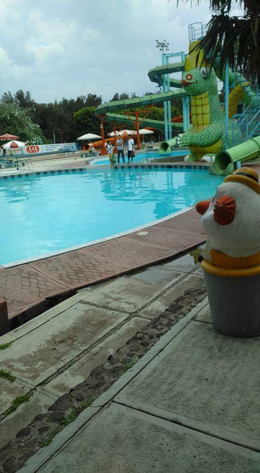 Imagen 109 Gomicentro Cano foto