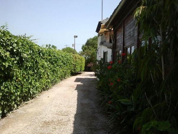 Imagen 50 AutoZone Cd. Valles foto