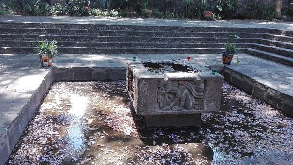 Imagen 119 Centro Social y Deportivo Eduardo Molina foto