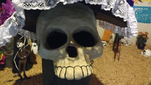 Imagen 87 Centro Social y Deportivo Eduardo Molina foto